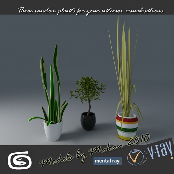 plant interior 3d model - plants collection... by VisuArt3D